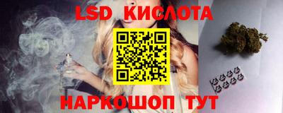 СК Канаш