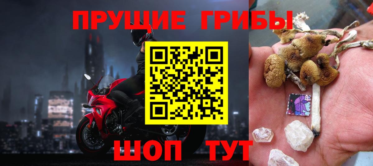 Дедовск  наркота  Вход с VPN  Галлюциногенные грибы мицелий 